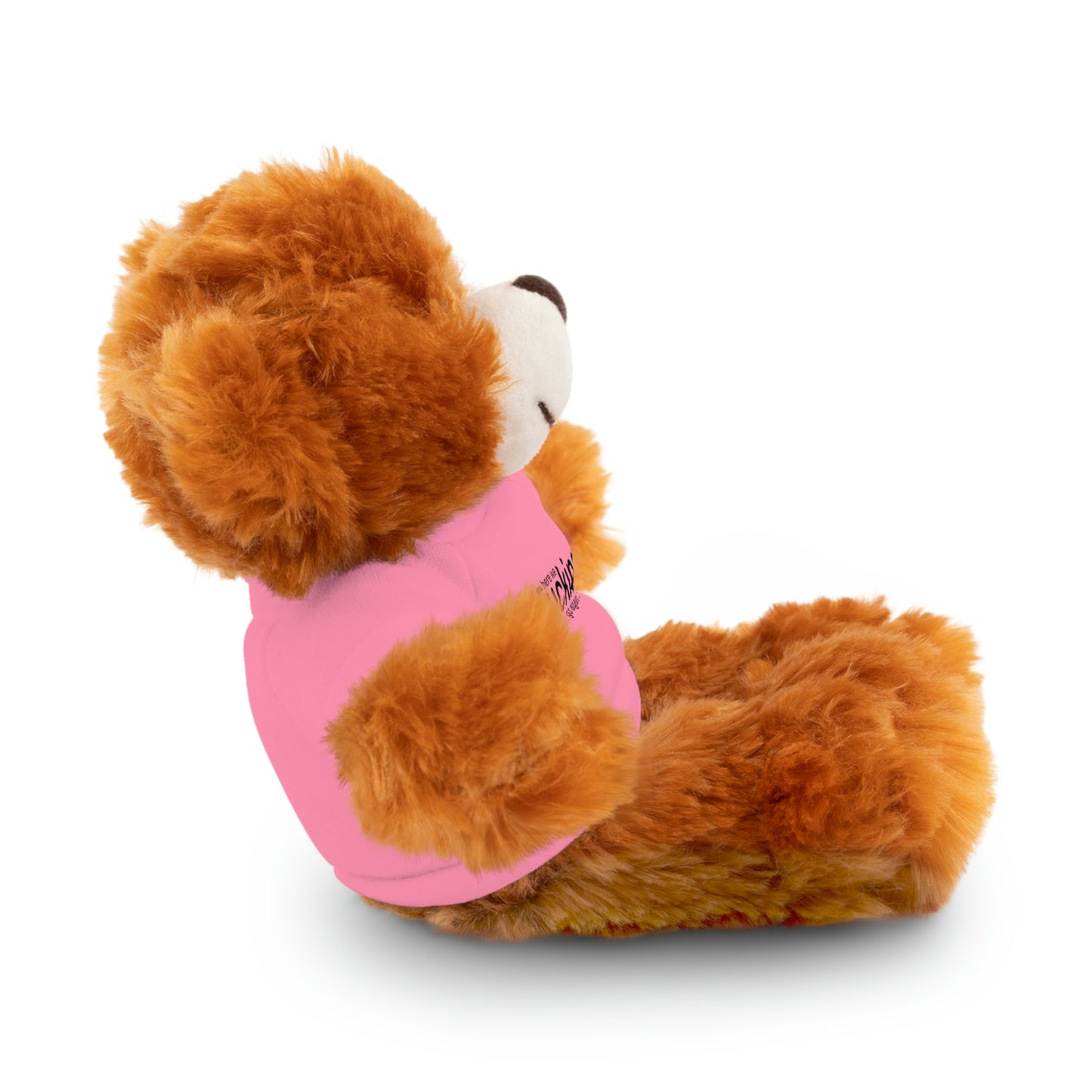 NearBear This Is My Apology